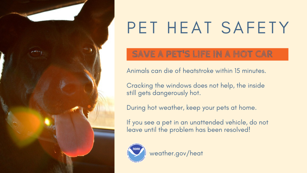 Image: Dog panting while sitting inside of a car; logo of NOAA with website: weather.gov/heat. Text: Save a pet's life in a hot car; list of steps to take available on website.