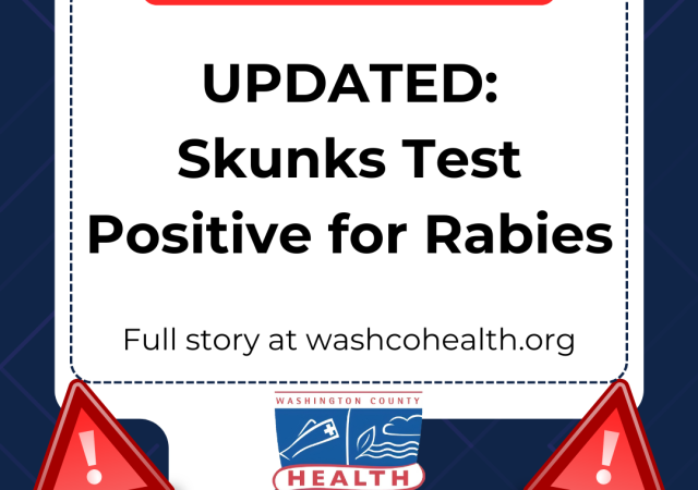 UPDATED: Skunks Test Positive for Rabies. Full story at washcohealth.org. Health dept. logo.