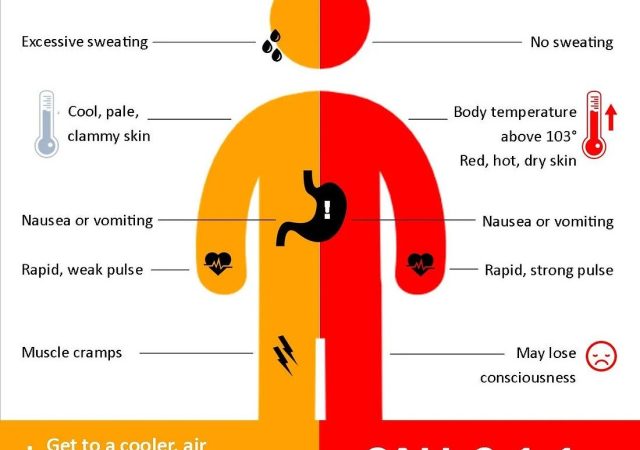 Heat Exhaustion vs. Heat Stroke graphic; content is in the narrative of the post.